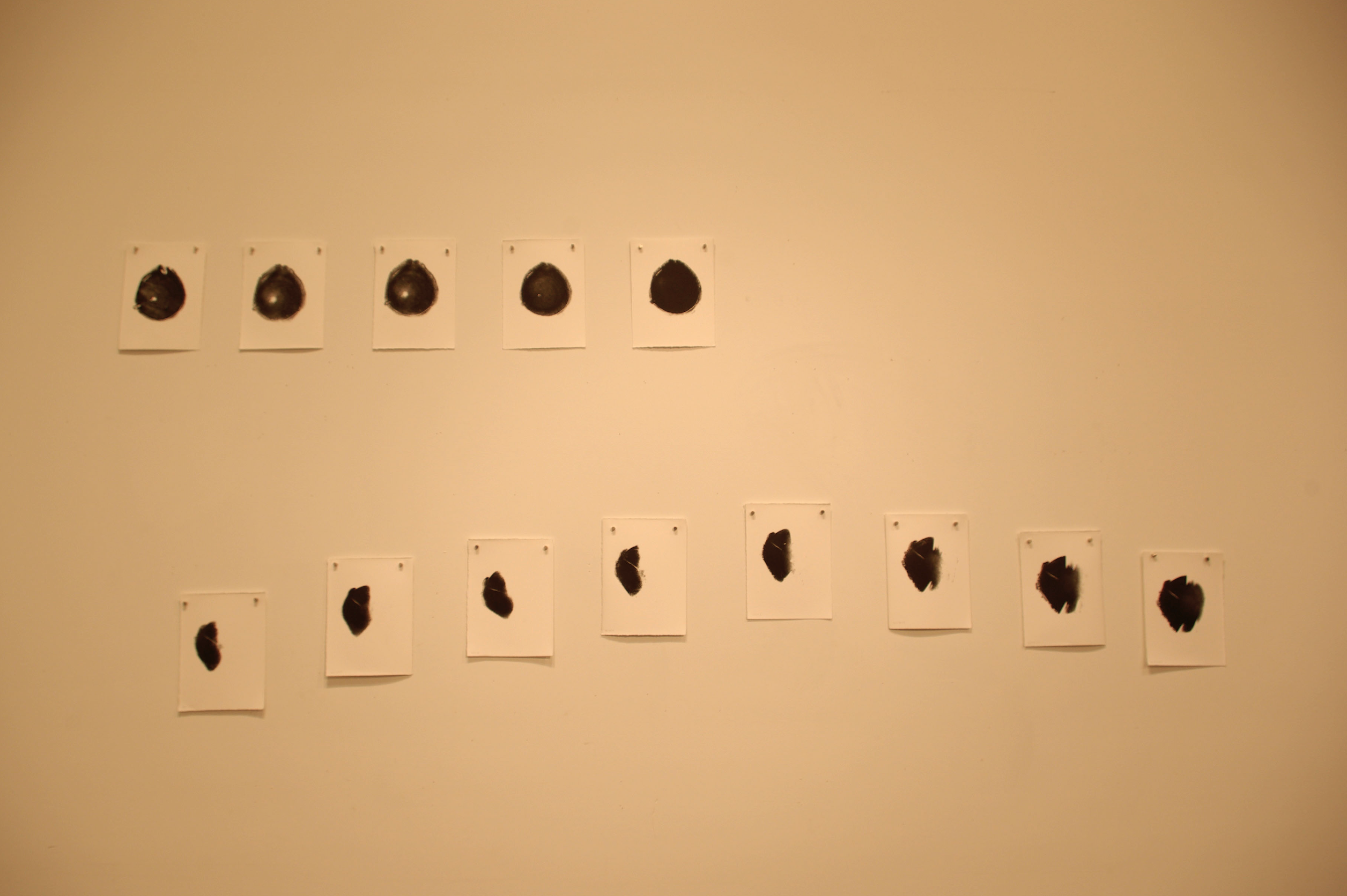 Images after Cyclone Yasi